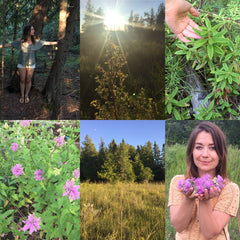 Prairie Gold -Solid Perfume Balm- Hydrate and Bless