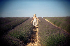 Lavender Fields Forever-Hydrate and Calm- Healing Hand Cream