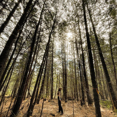 Singing Cedar~ Magic Mist~ Purify and Protect