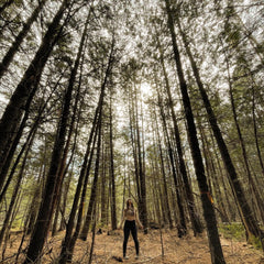 Singing Cedar~ Magic Mist~ Purify and Protect