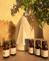 Ceramic Diffuser and Essential Oils kit!