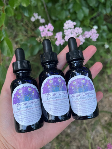 Divine Dream Elixir~Nervous System and Dream Support