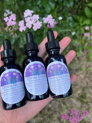 Divine Dream Elixir~Nervous System and Dream Support