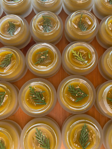 Bough and Balsam~ Healing Hand Balm