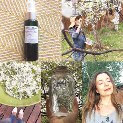 Wild Plum Blossom and Vanilla - Hair Perfume