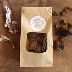 Woodland Wonder- Wild Harvested Chaga Tea