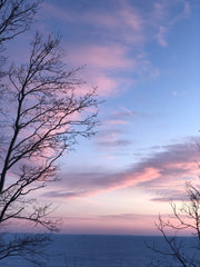 Sacred Heart~ Exfoliating Body Polish